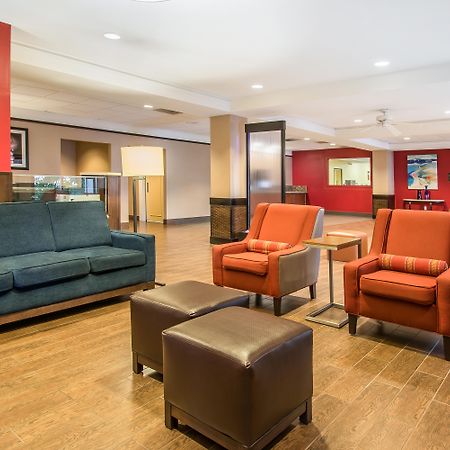 Comfort Inn & Suites Kissimmee By The Parks Four Corners Dış mekan fotoğraf